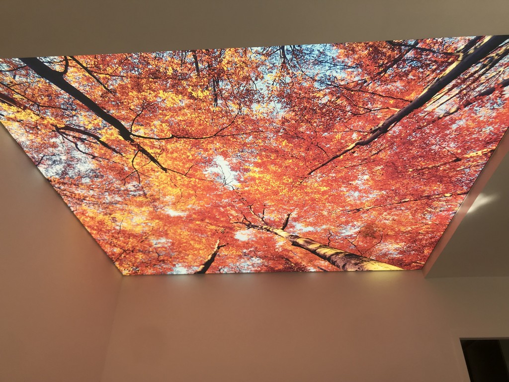 Plafond Tendu