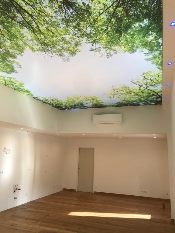 Plafond Tendu