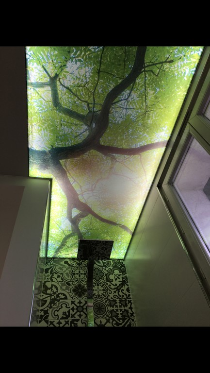 Plafond Tendu